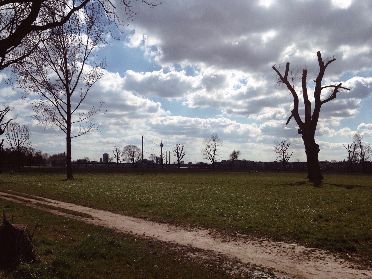 94/365: Rheinpark, D&uuml;sseldorf.