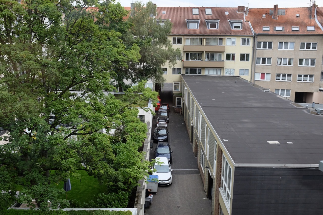 264/365: Rear window, September.