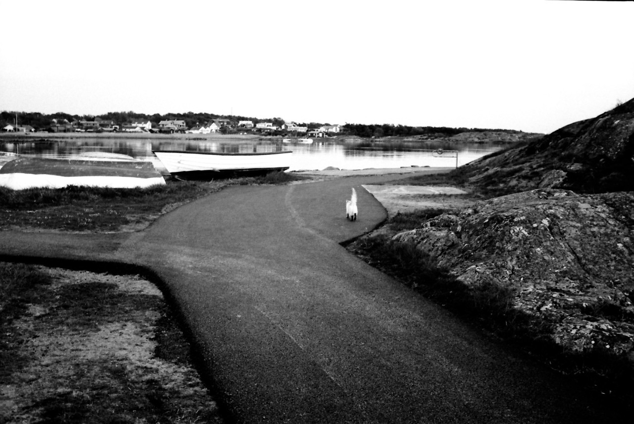 Near Kungsbacka, Sweden. May 2016.