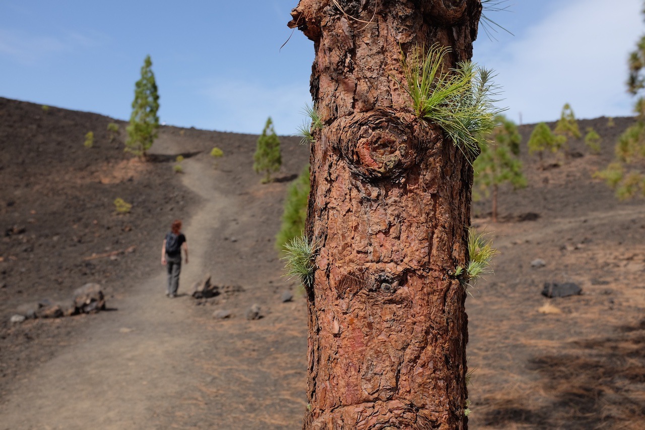 While we spent most of our time on the islands La Gomera and El Hierro, the first two nights we stayed on Tenerife. The day in-between was spent visiting Teide National Park. Unfortunately, we couldn’t go up El Teide itself – Spain’s highest mountain...