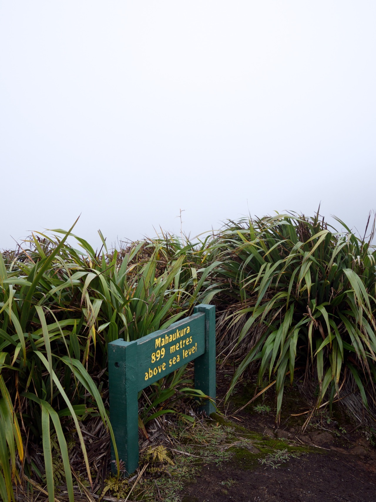 Nicole and I went on a little tramping trip to Pirongia forest park a couple of weeks ago. Spent one night in a cosy little hut.
You can see all photos on Flickr.