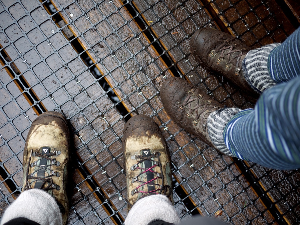 Nicole and I went on a little tramping trip to Pirongia forest park a couple of weeks ago. Spent one night in a cosy little hut.
You can see all photos on Flickr.