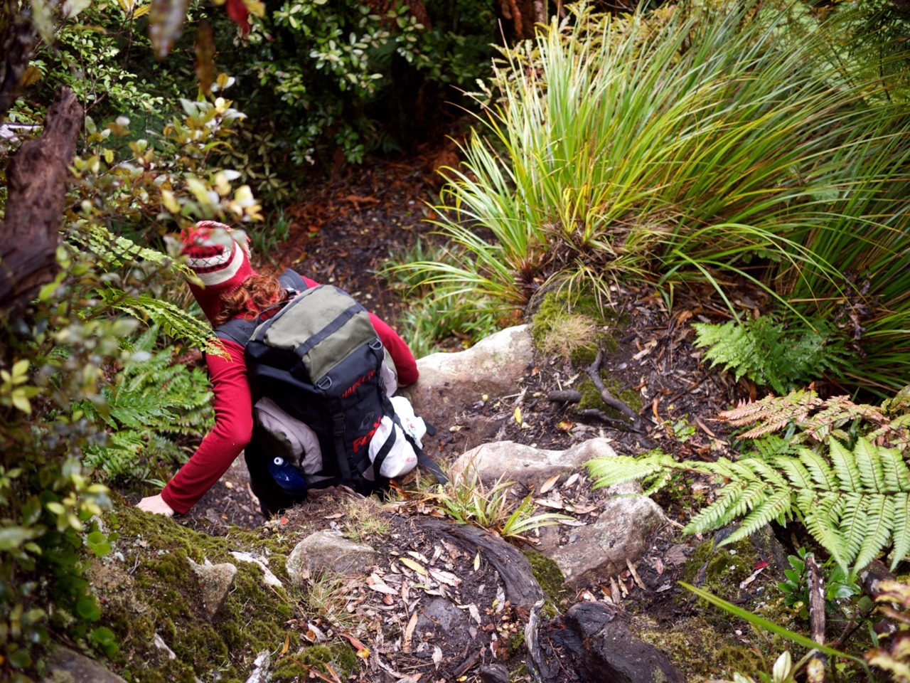 Nicole and I went on a little tramping trip to Pirongia forest park a couple of weeks ago. Spent one night in a cosy little hut.
You can see all photos on Flickr.